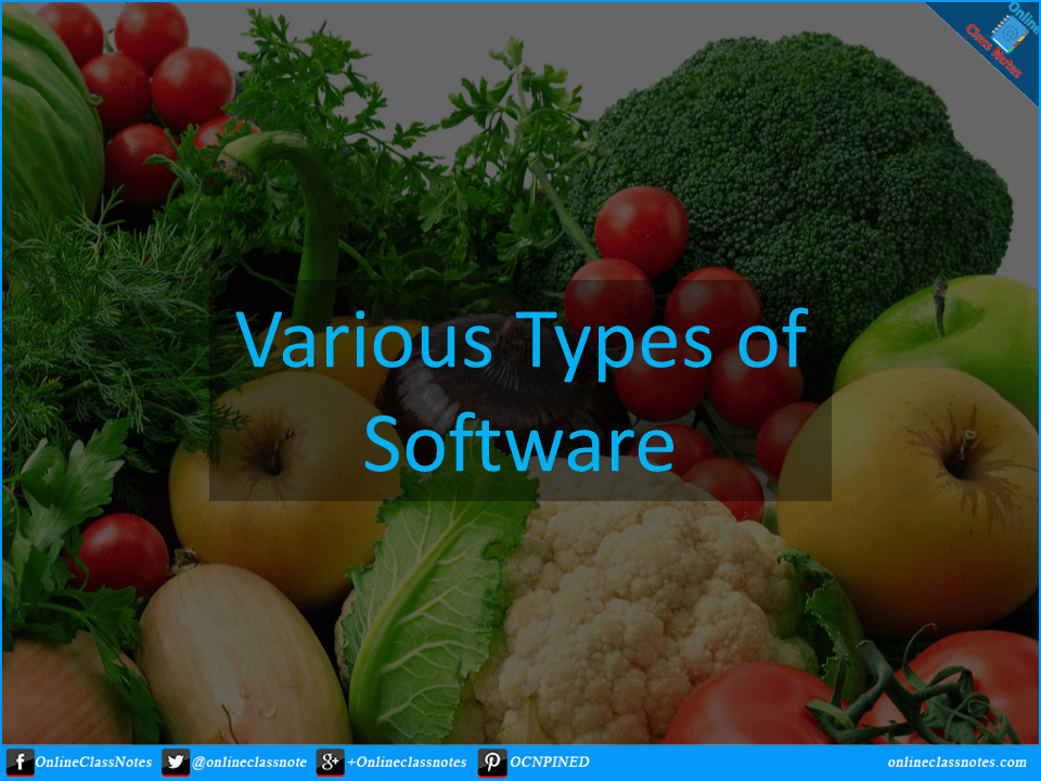 various-types-of-software