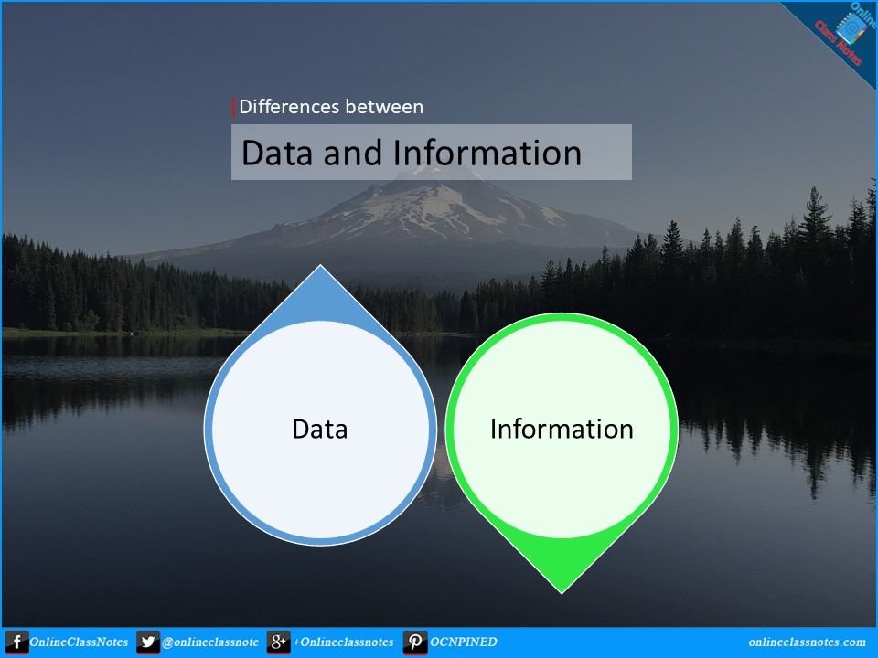 differences between data and information