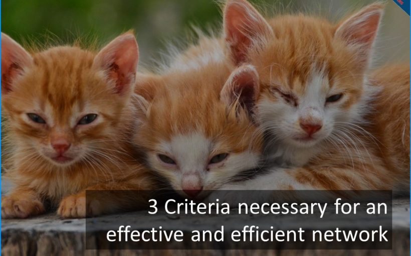 What are the 3 Criteria necessary for an effective and efficient network