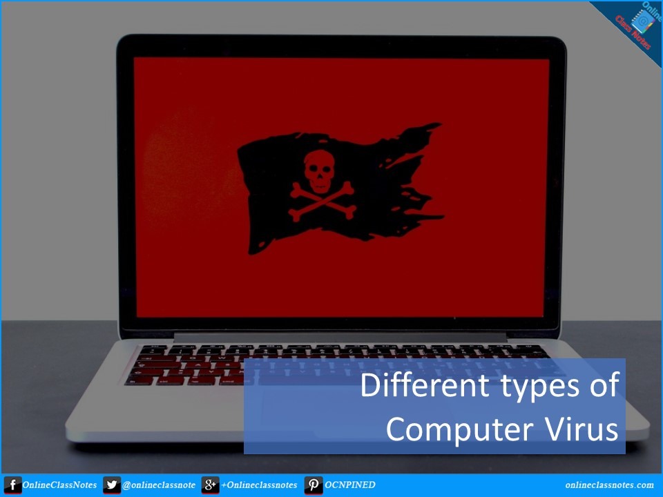 different-types-of-computer-viruses