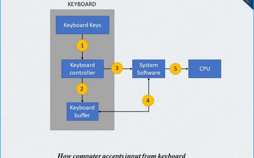 how-computer-accepts-input-from-keyboard