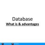 what is database what are 12 advantages of using database