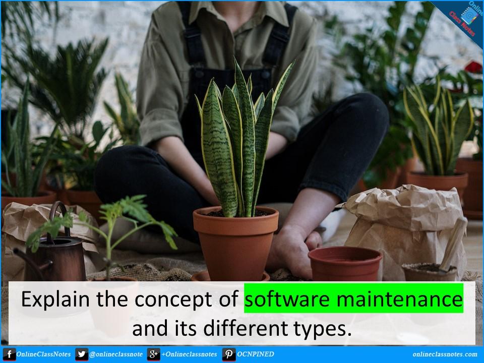 Explain the concept of software maintenance and its different types.