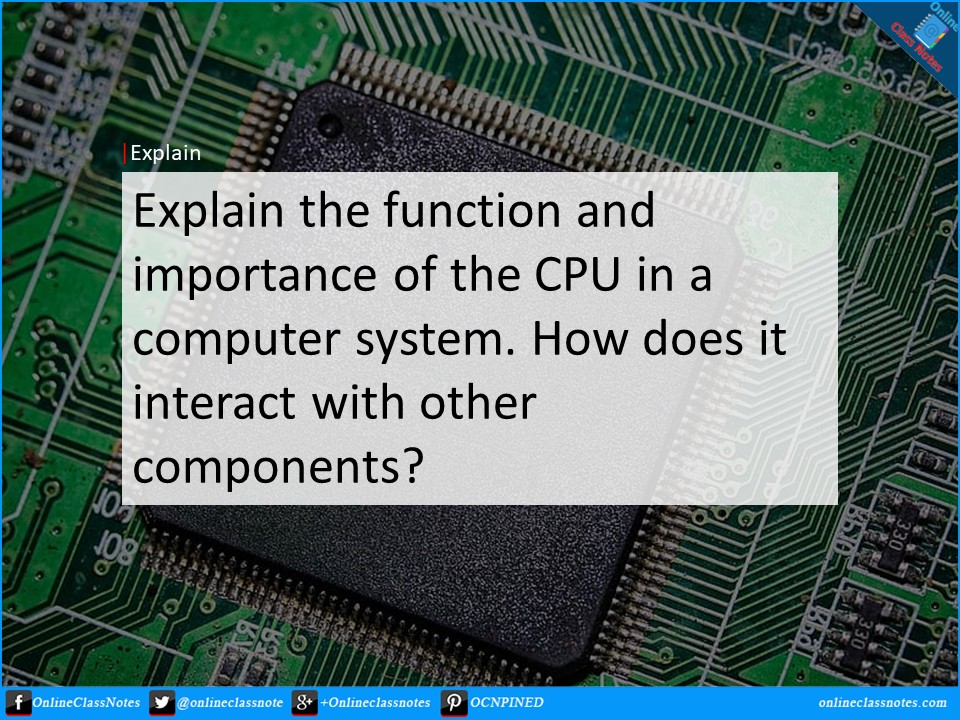 Explain the function and importance of the CPU in a computer system. How does it interact with other components?